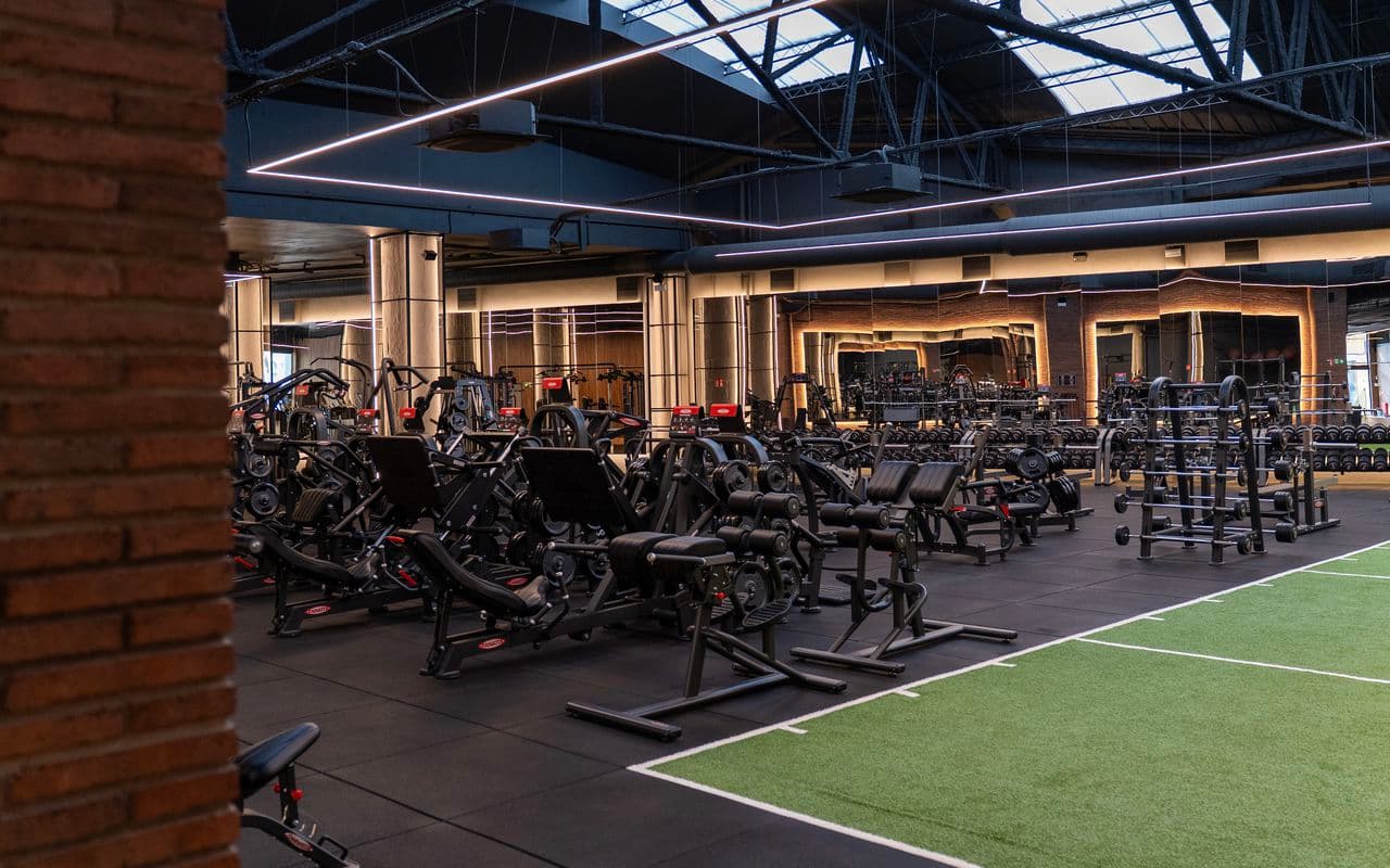 Área de Entrenamiento